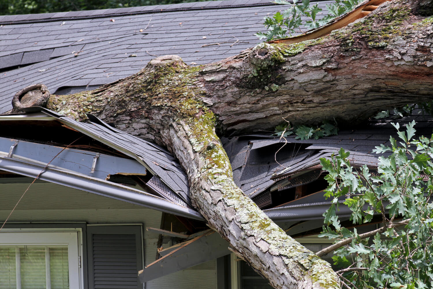how-roofing-damage-from-trees-is-repaired-cloud-roofing